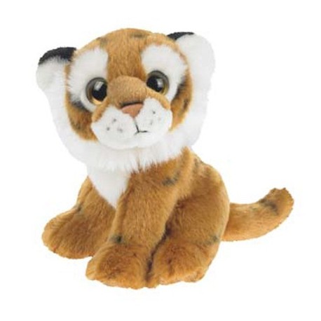 Tiger, Wild Watcher